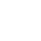 Trans Icon